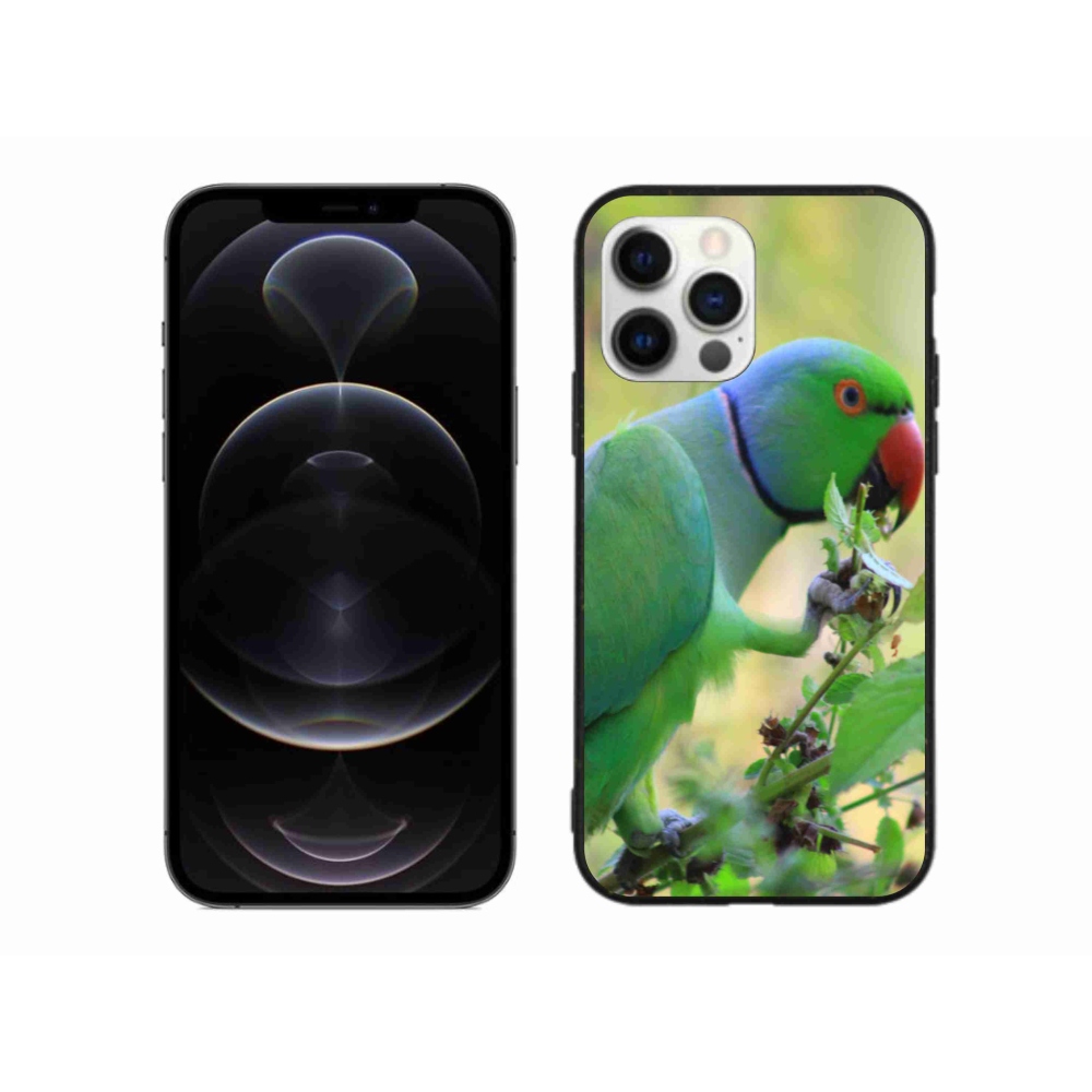 Gélový kryt mmCase na iPhone 12 Pro Max - papagáj alexandr