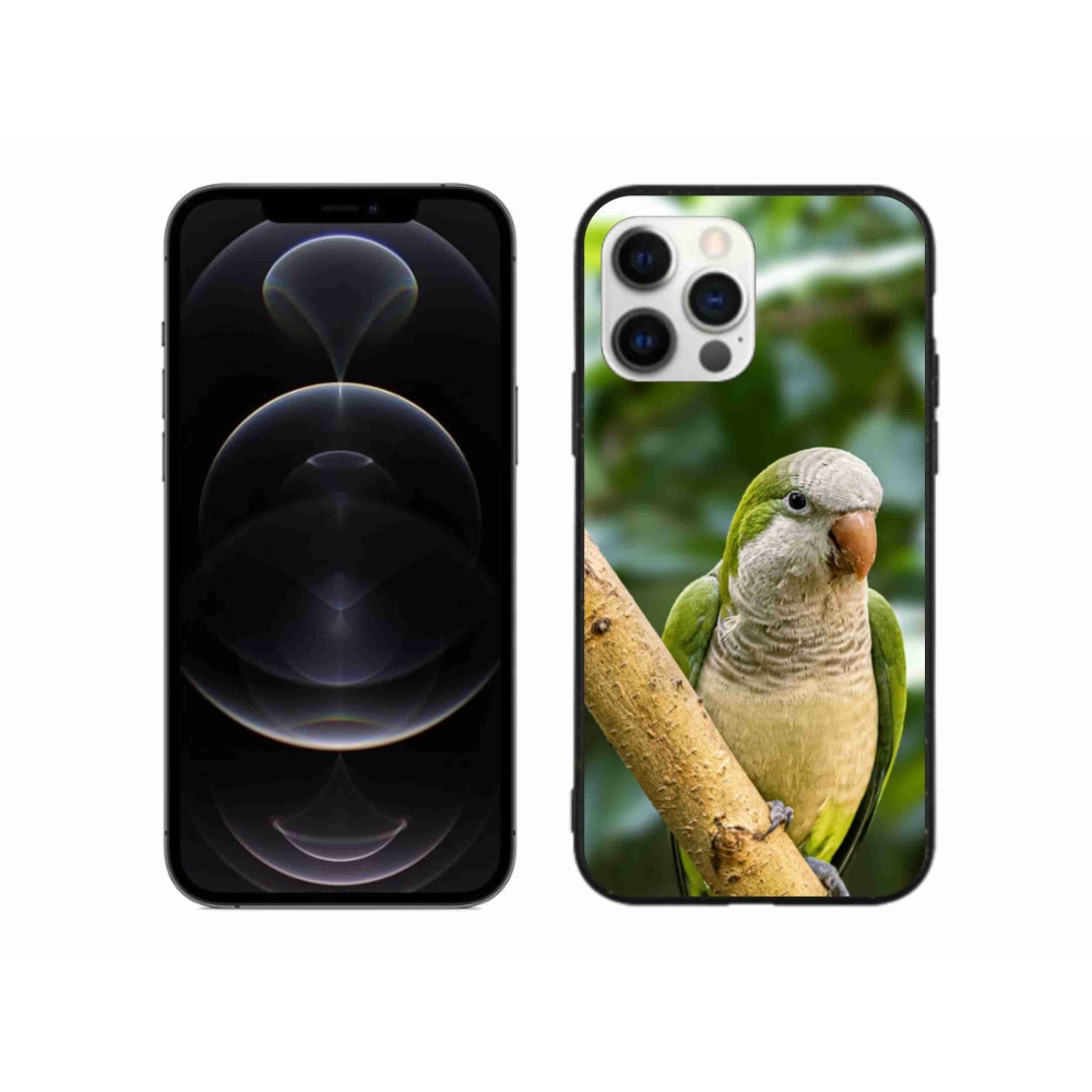 Gélový kryt mmCase na iPhone 12 Pro Max - papagáj mníšok