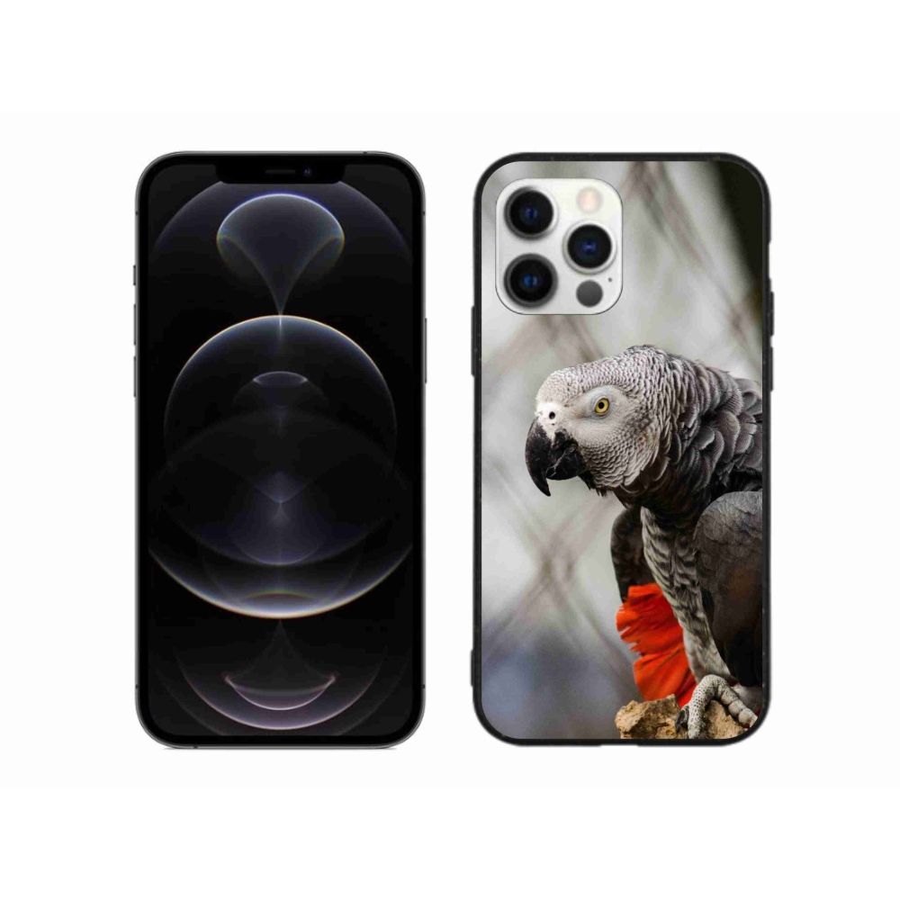 Gélový kryt mmCase na iPhone 12 Pro Max - papagáj žako 3