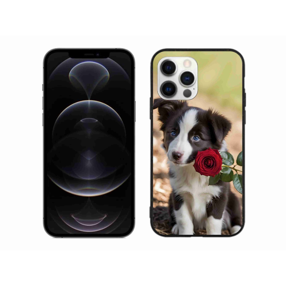 Gélový kryt mmCase na iPhone 12 Pro Max - roztomilá border kólia s ružou