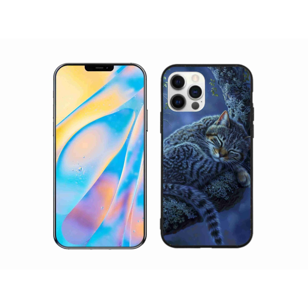 Gélový kryt mmCase na iPhone 12 - spiaca mačka