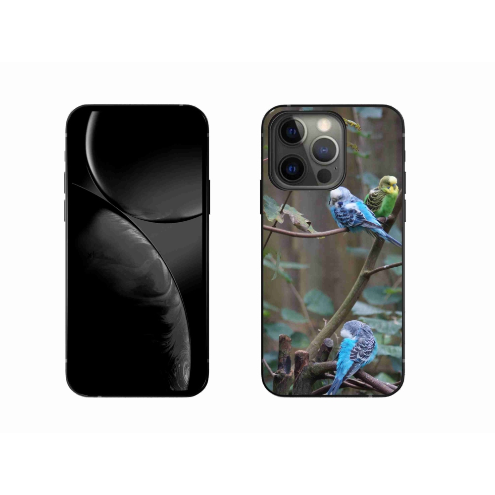 Gélový kryt mmCase na iPhone 13 Pro - papagáje na vetve
