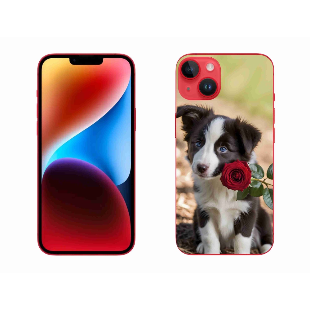 Gélový kryt mmCase na iPhone 14 Plus - roztomilá border kólia s ružou
