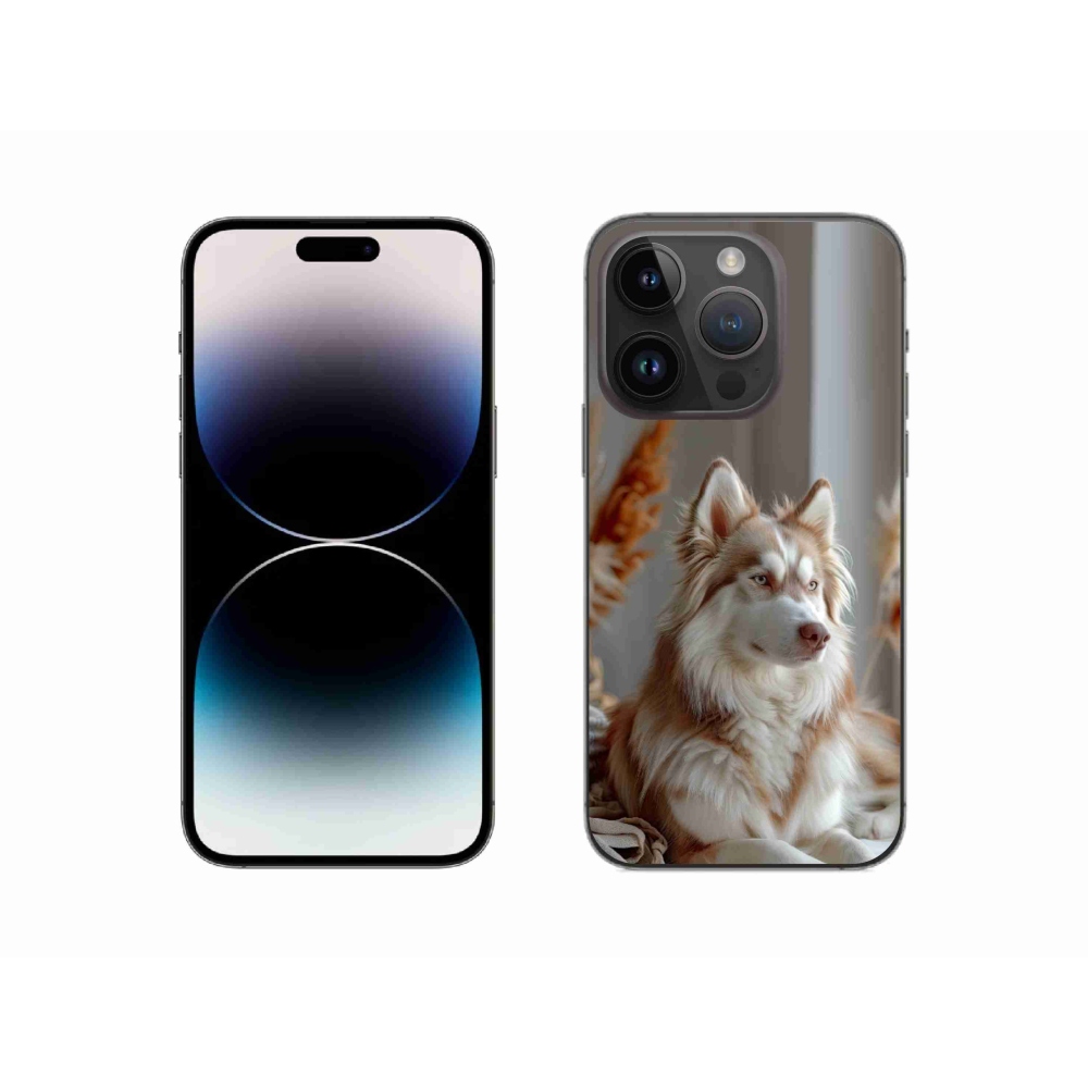 Gélový kryt mmCase na iPhone 14 Pro - pokojný sibírsky husky