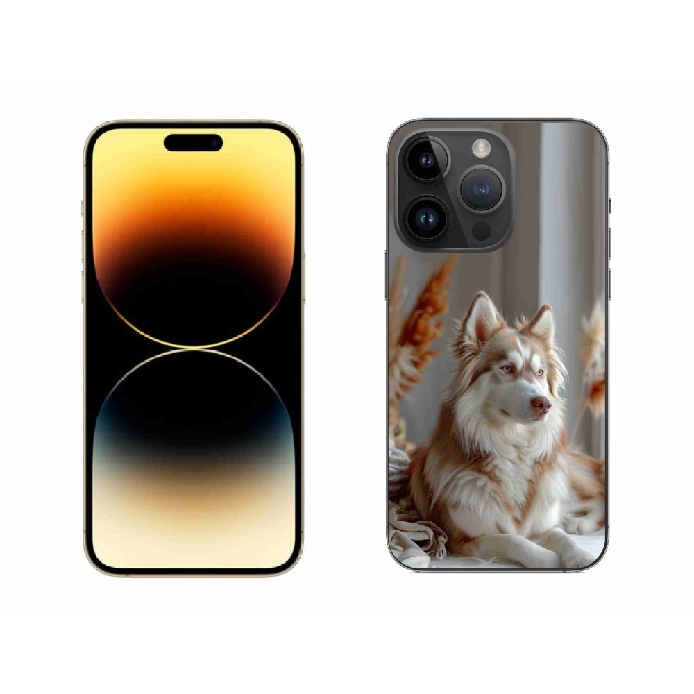 Gélový kryt mmCase na iPhone 14 Pro Max - pokojný sibírsky husky