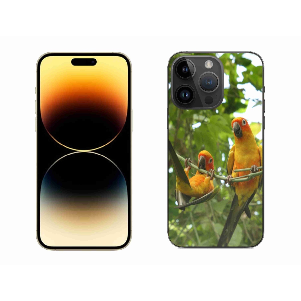 Gélový kryt mmCase na iPhone 14 Pro Max - papagáje aratingy