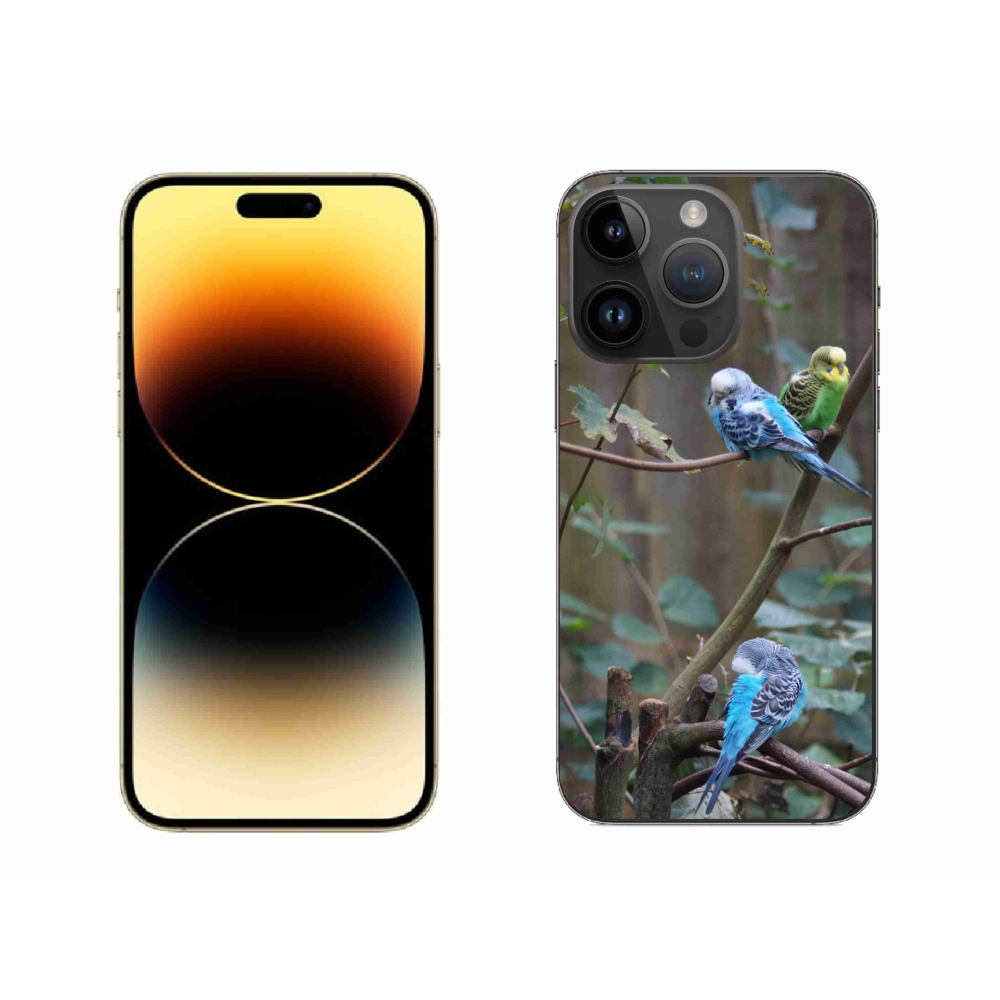 Gélový kryt mmCase na iPhone 14 Pro Max - papagáje na vetve