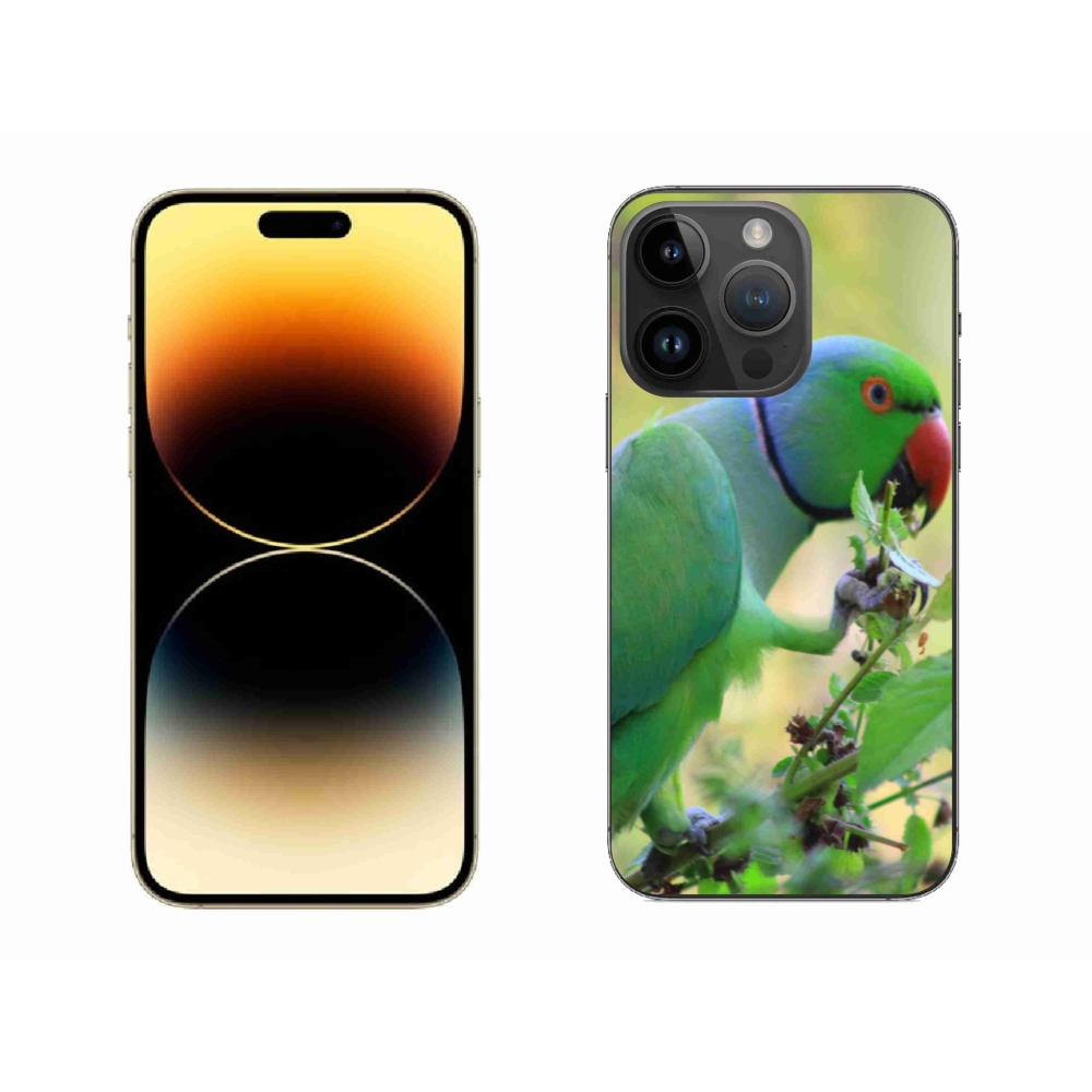 Gélový kryt mmCase na iPhone 14 Pro Max - papagáj Alexandr