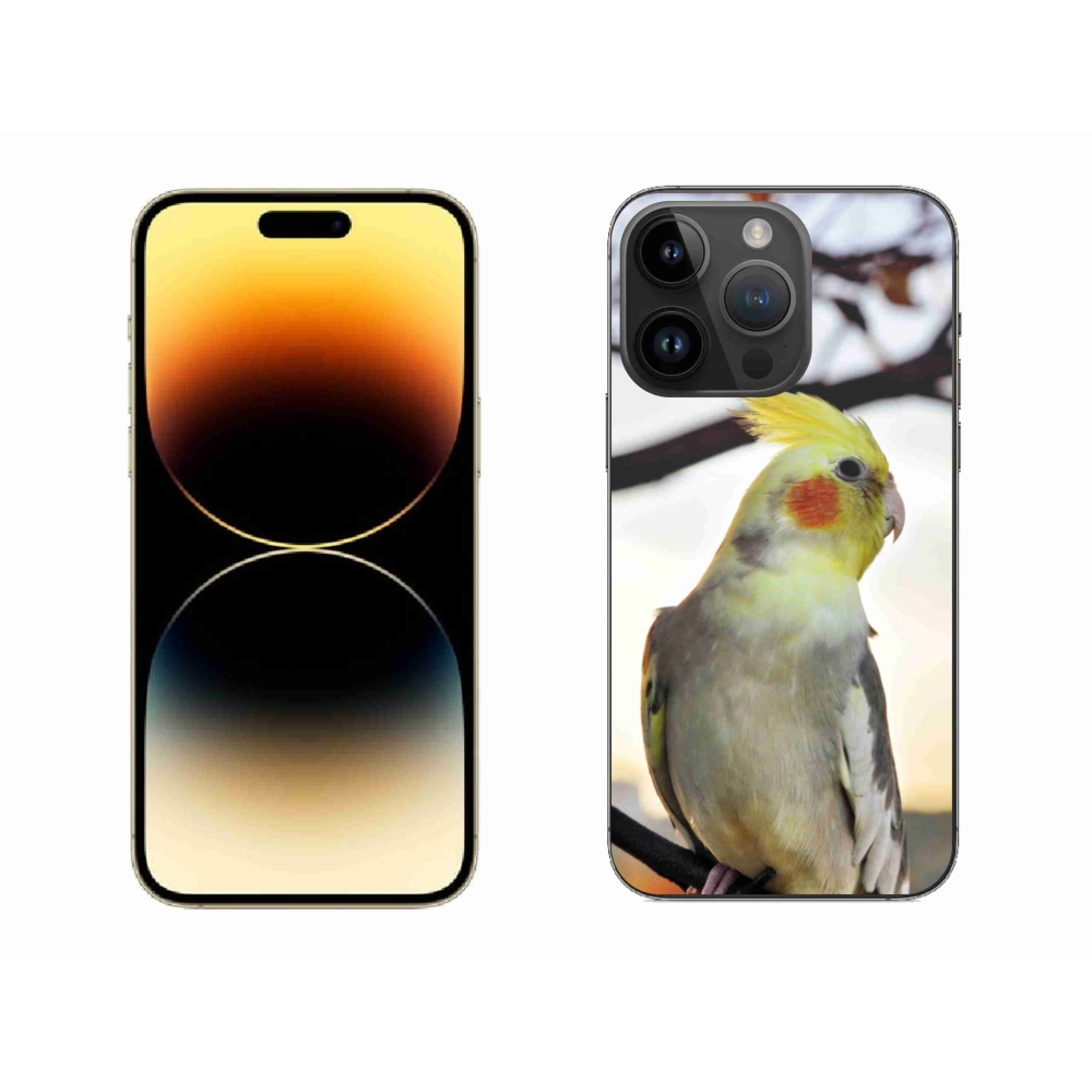 Gélový kryt mmCase na iPhone 14 Pro Max - papagáj korela