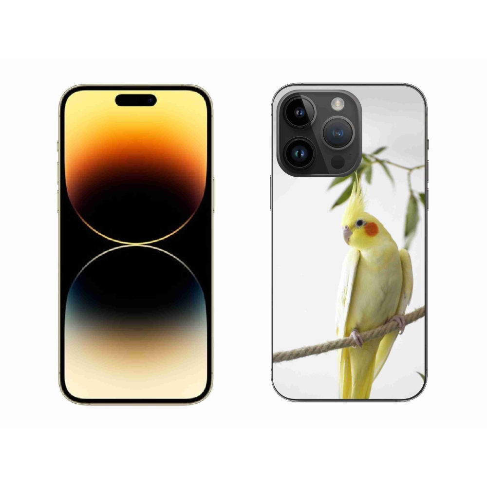 Gélový kryt mmCase na iPhone 14 Pro Max - papagáj korela chocholatá