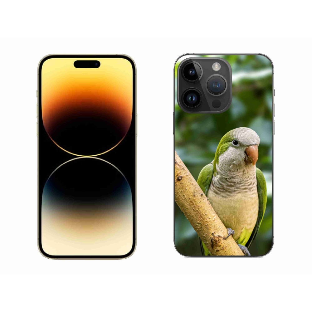 Gélový kryt mmCase na iPhone 14 Pro Max - papagáj mníšok