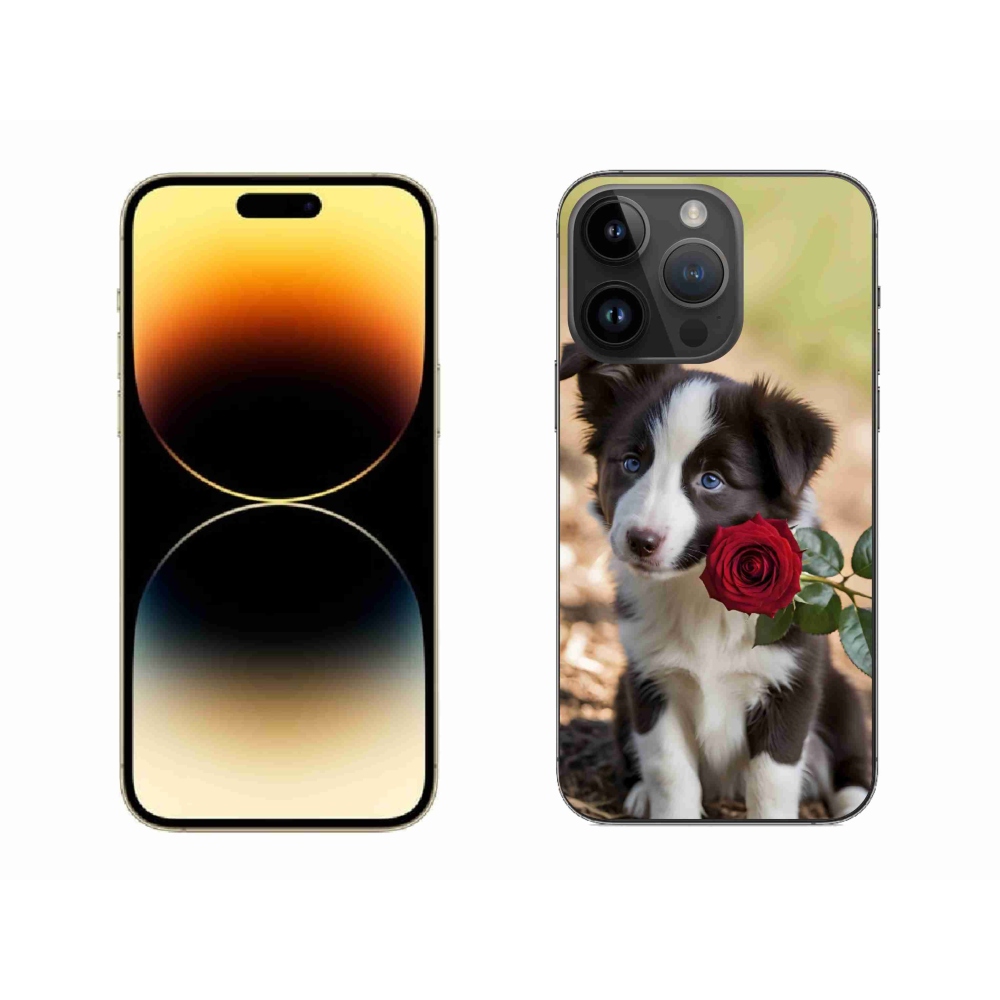 Gélový kryt mmCase na iPhone 14 Pro Max - roztomilá border kólia s ružou