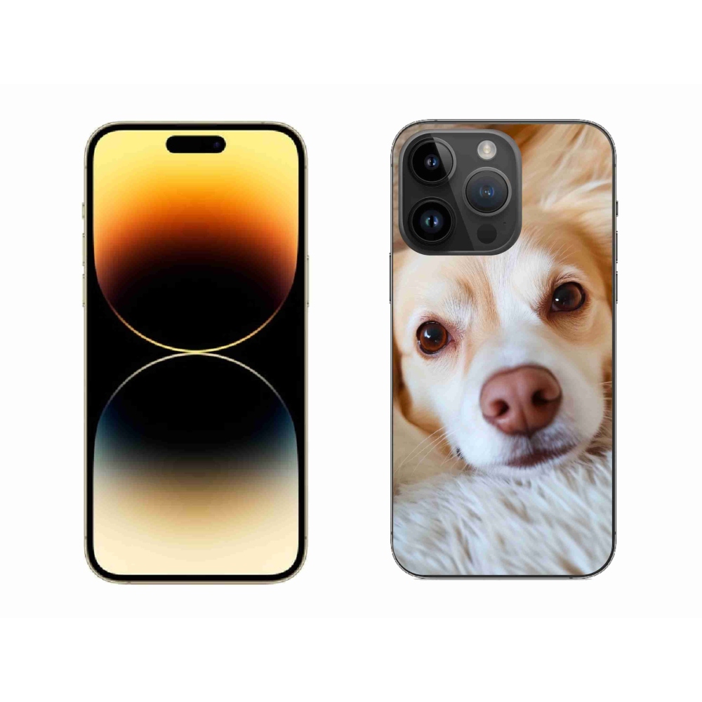 Gélový kryt mmCase na iPhone 14 Pro Max - Roztomilá čivava