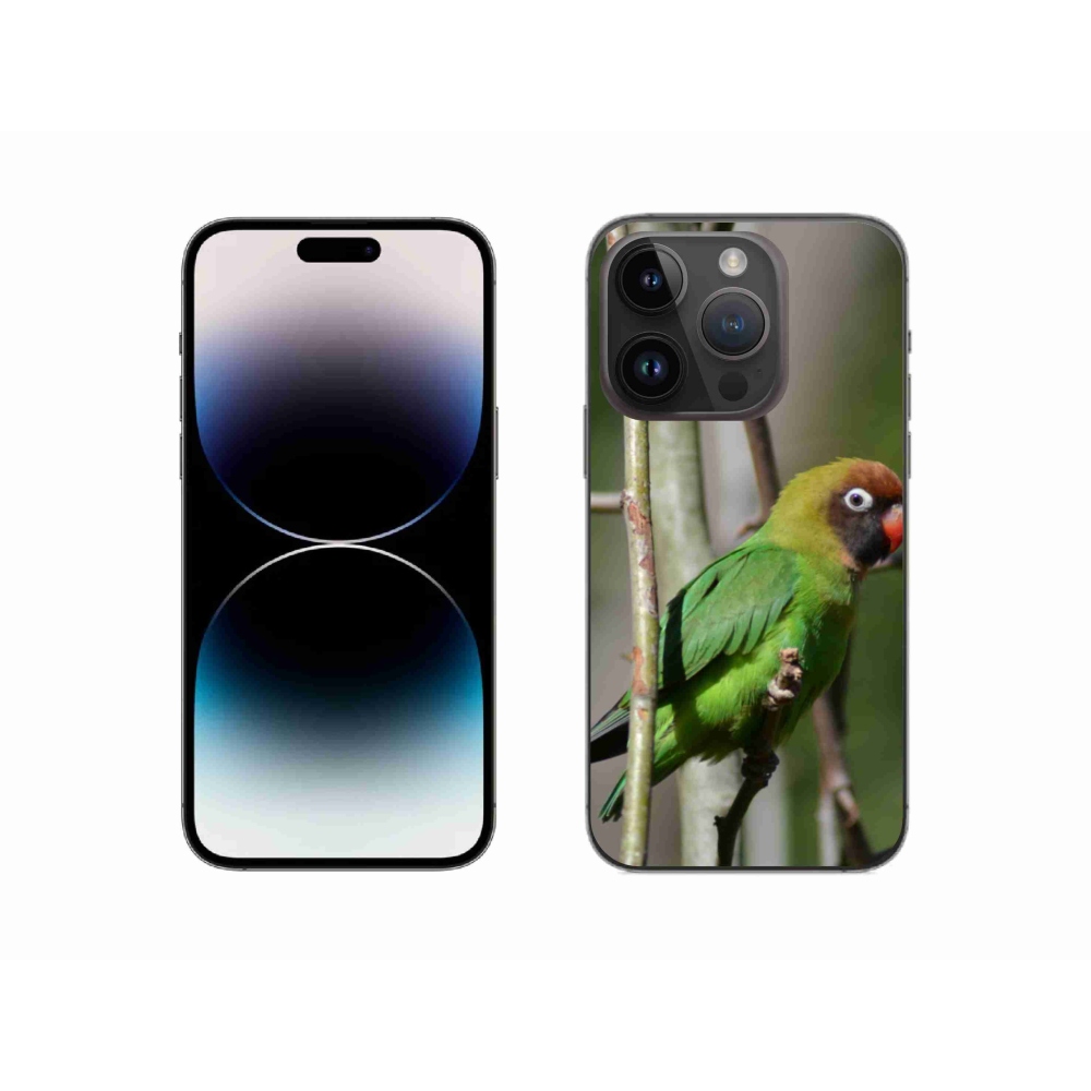 Gélový kryt mmCase na iPhone 14 Pro - papagáj agapornis