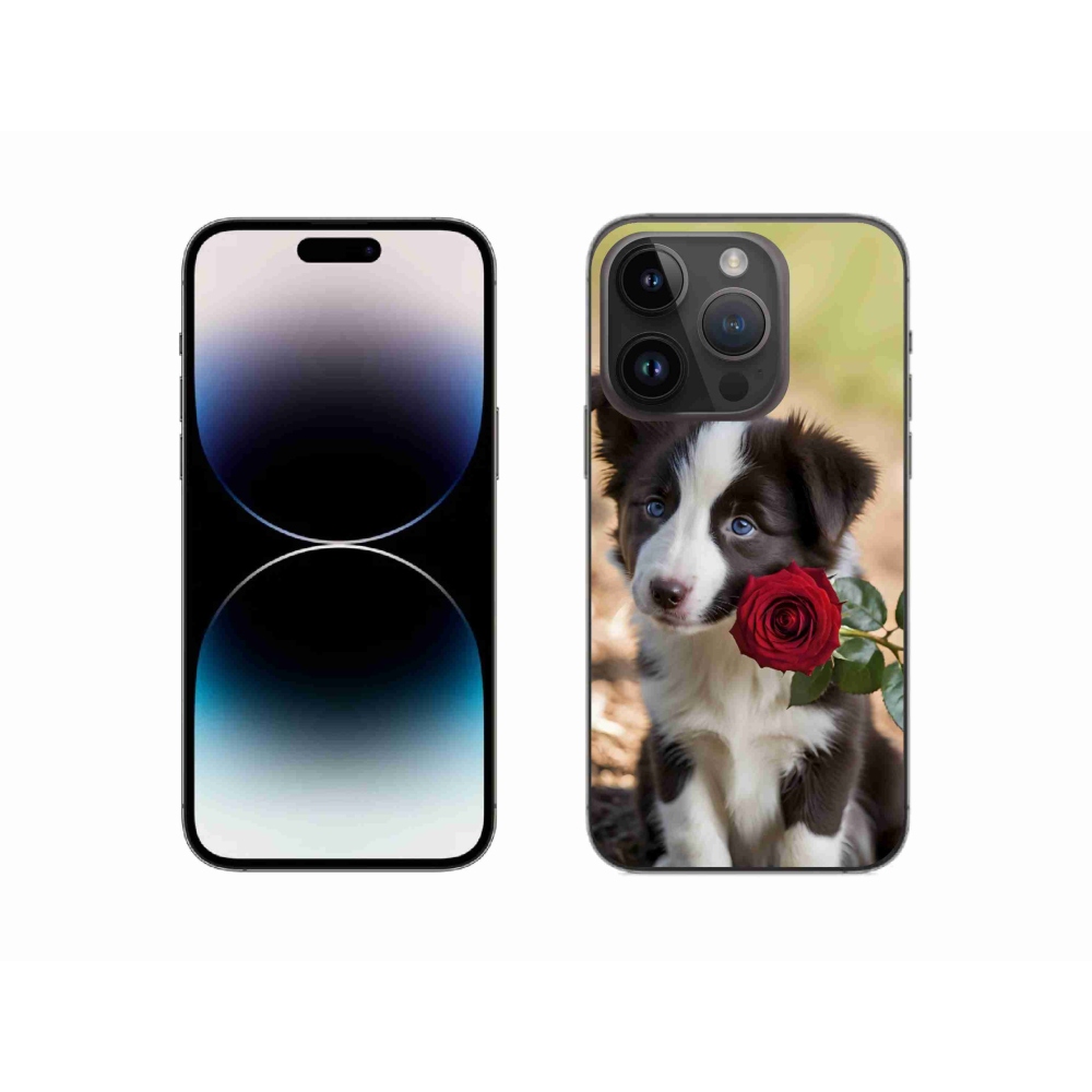 Gélový kryt mmCase na iPhone 14 Pro - roztomilá border kólia s ružou