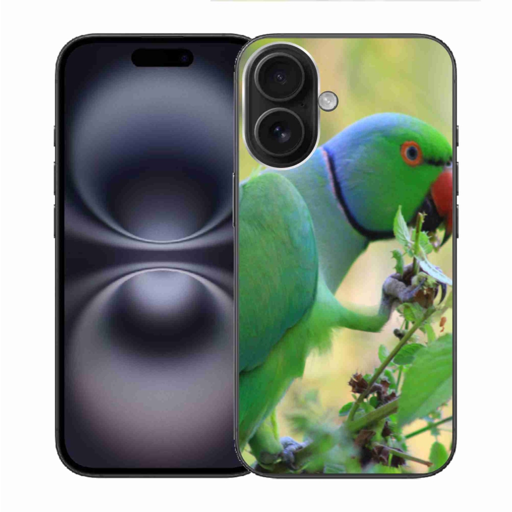 Gélový kryt mmCase na iPhone 16 - papagáj Alexandr