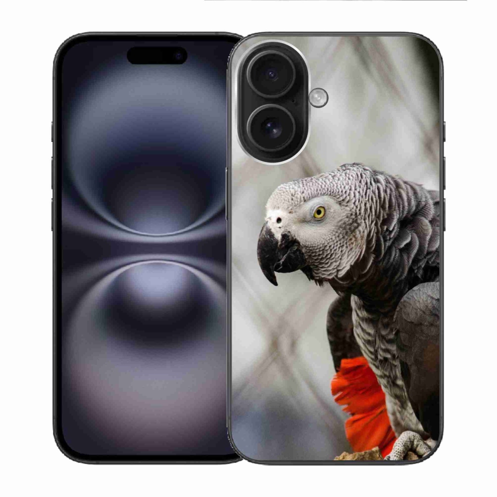 Gélový kryt mmCase na iPhone 16 - papagáj žako 3