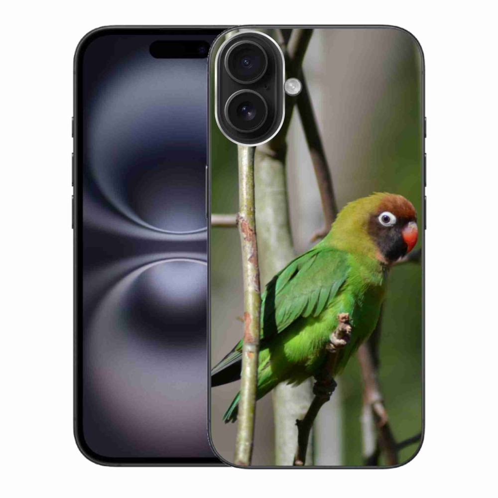 Gélový kryt mmCase na iPhone 16 Plus - papagáj agapornis