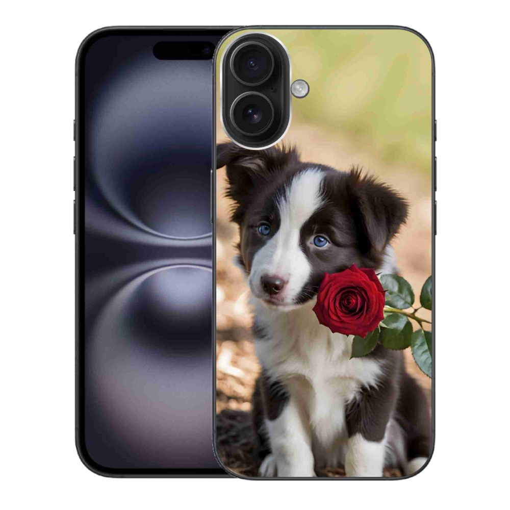 Gélový kryt mmCase na iPhone 16 Plus - roztomilá border kólia s ružou