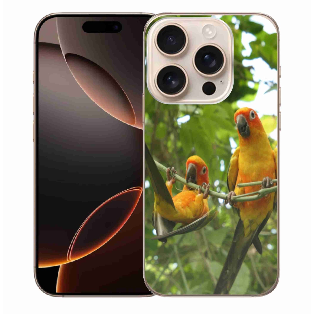 Gélový kryt mmCase na iPhone 16 Pro Max - papagáje aratingy