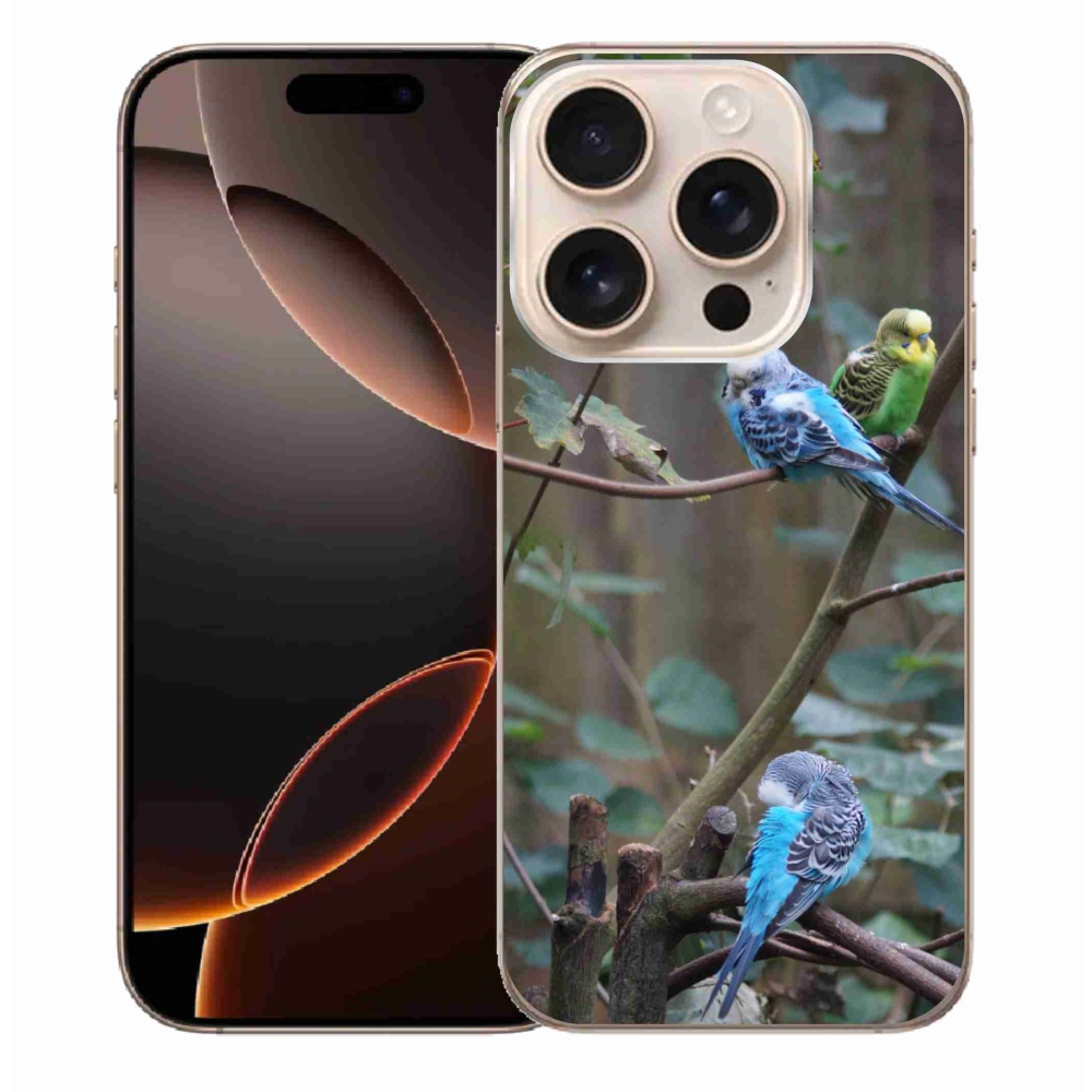 Gélový kryt mmCase na iPhone 16 Pro Max - papagáje na vetve