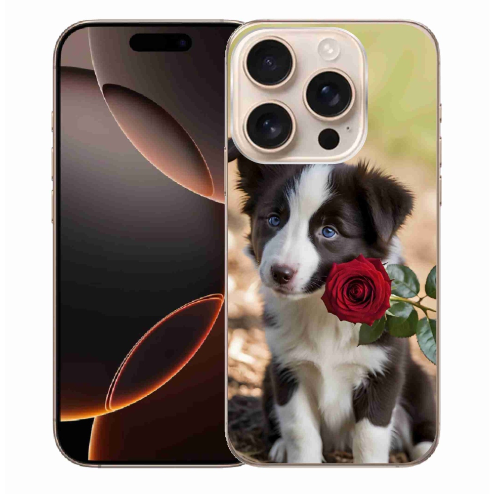 Gélový kryt mmCase na iPhone 16 Pro Max - roztomilá border kólia s ružou