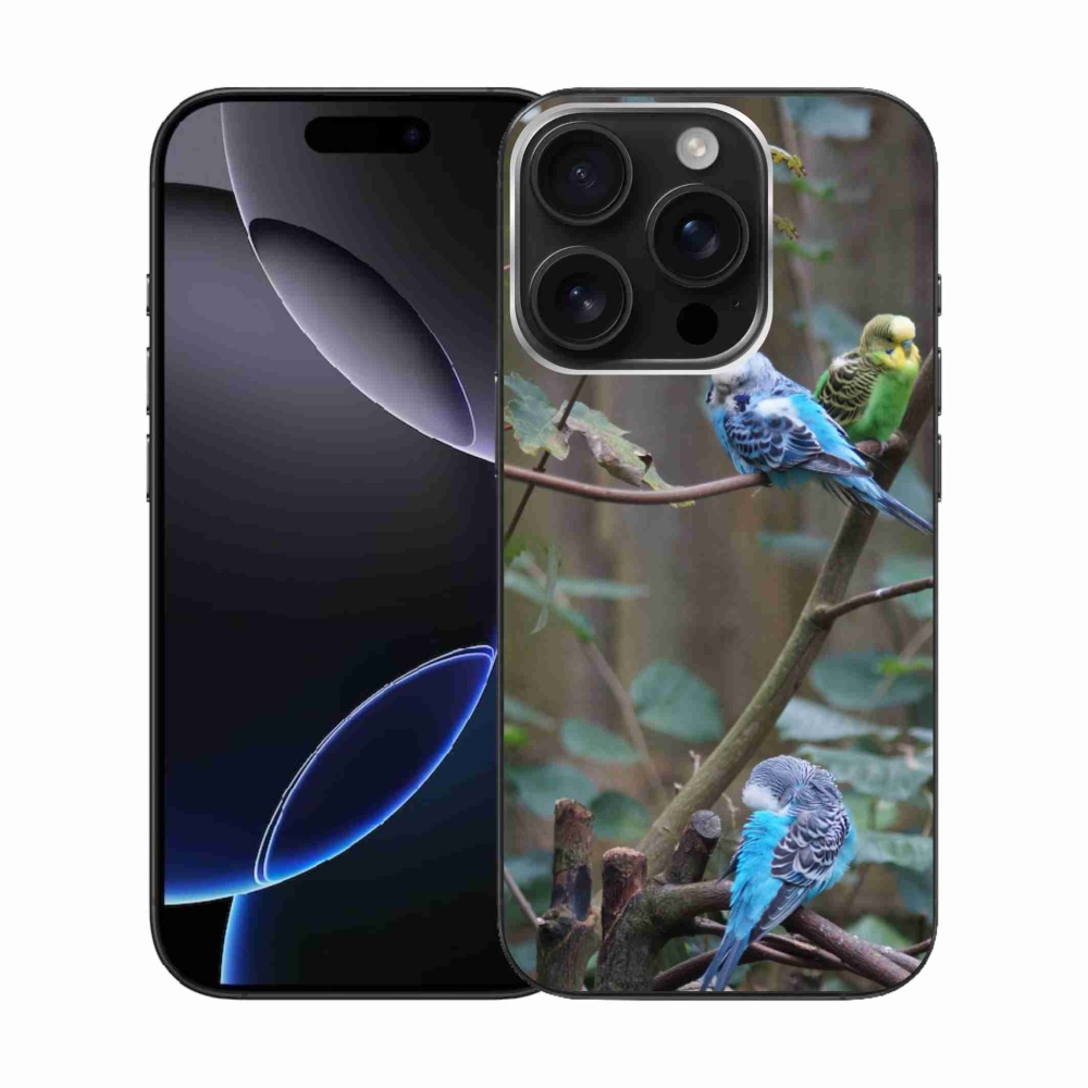 Gélový kryt mmCase na iPhone 16 Pro - papagáje na vetve