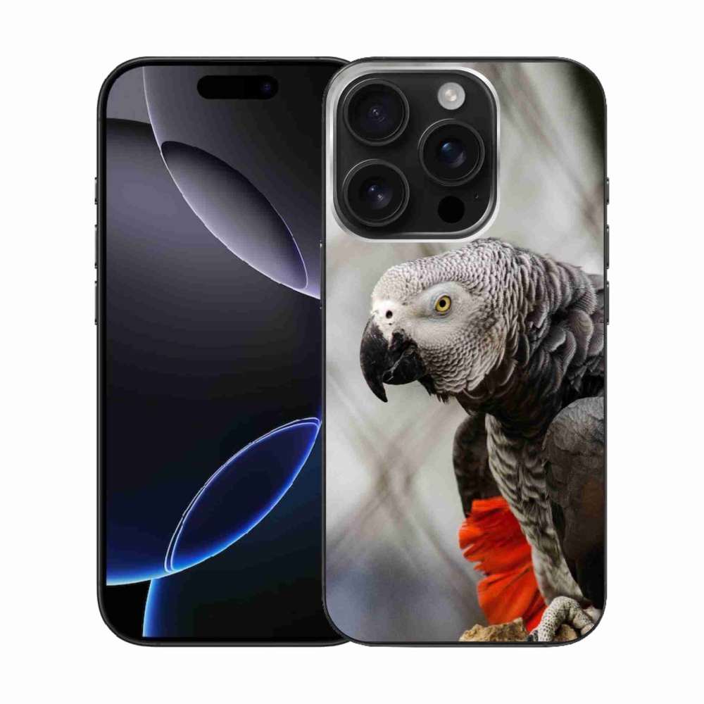 Gélový kryt mmCase na iPhone 16 Pro - papagáj žako 3