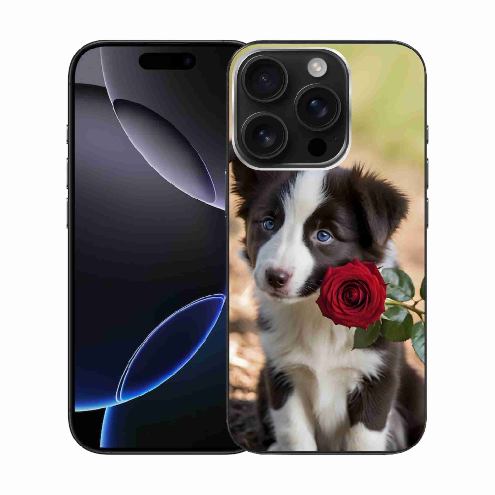 Gélový kryt mmCase na iPhone 16 Pro - roztomilá border kólia s ružou