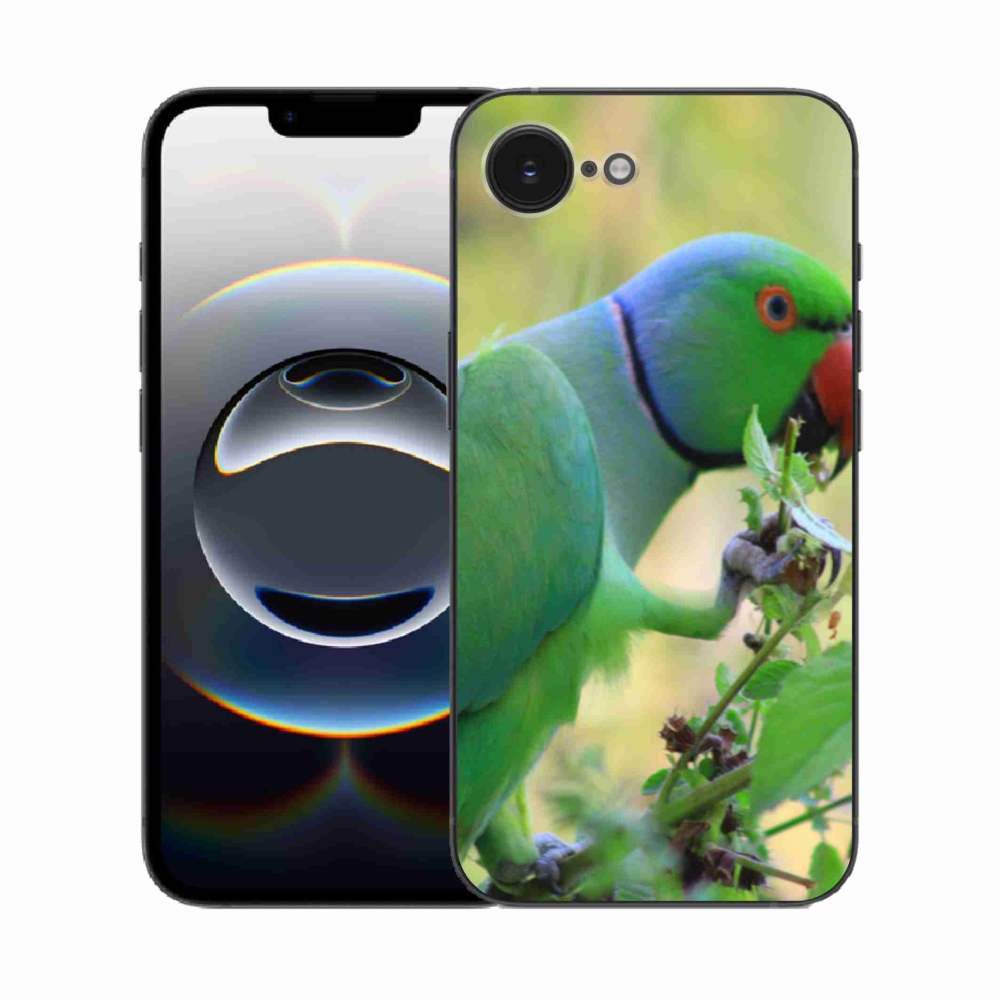 Gélový kryt mmCase na iPhone 16e - papagáj alexandr