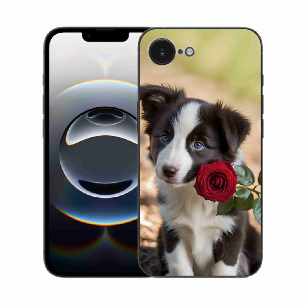 Gélový kryt mmCase na iPhone 16e - roztomilá border kólia s ružou