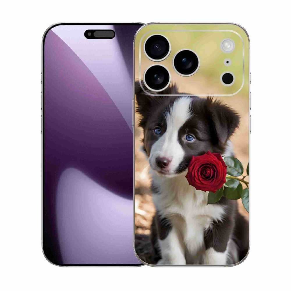 Gélový kryt mmCase na iPhone 17 Pro - roztomilá border kólia s ružou
