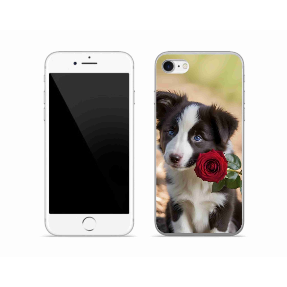 Gélový kryt mmCase na iPhone SE (2022) - roztomilá border kólia s ružou