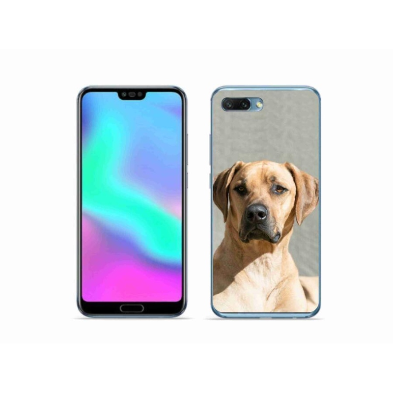 Gélový kryt mmCase na mobil Honor 10 - ridgeback