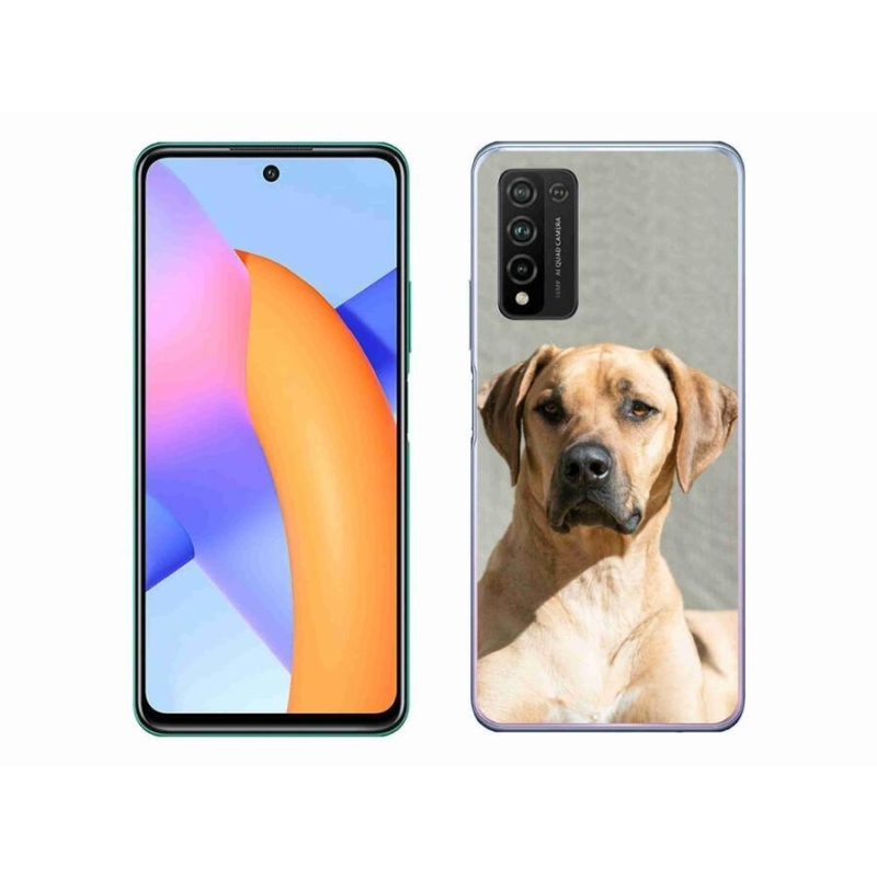 Gélový kryt mmCase na mobil Honor 10X Lite - ridgeback