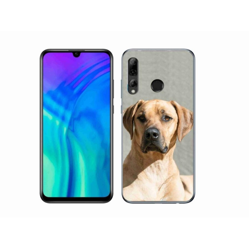 Gélový kryt mmCase na mobil Honor 20 Lite - ridgeback