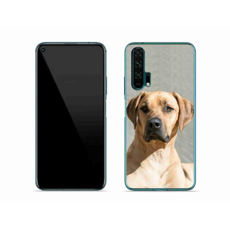 Gélový kryt mmCase na mobil Honor 20 Pro - ridgeback