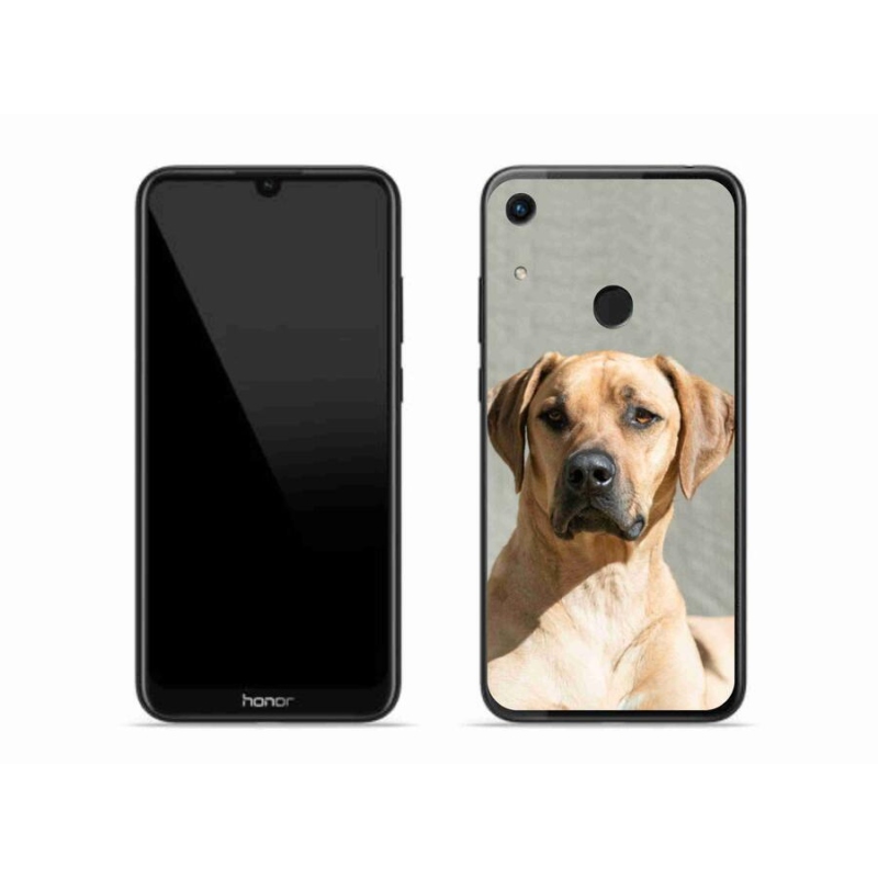 Gélový kryt mmCase na mobil Honor 8A - ridgeback