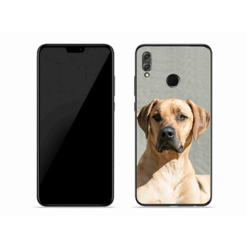 Gélový kryt mmCase na mobil Honor 8X - ridgeback