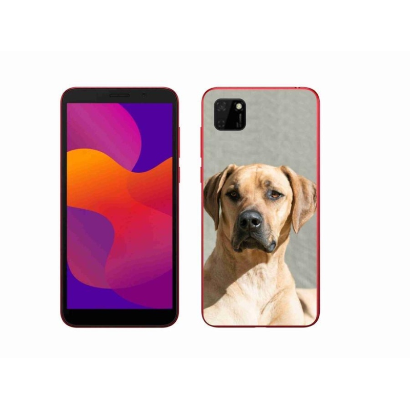 Gélový kryt mmCase na mobil Honor 9S - ridgeback