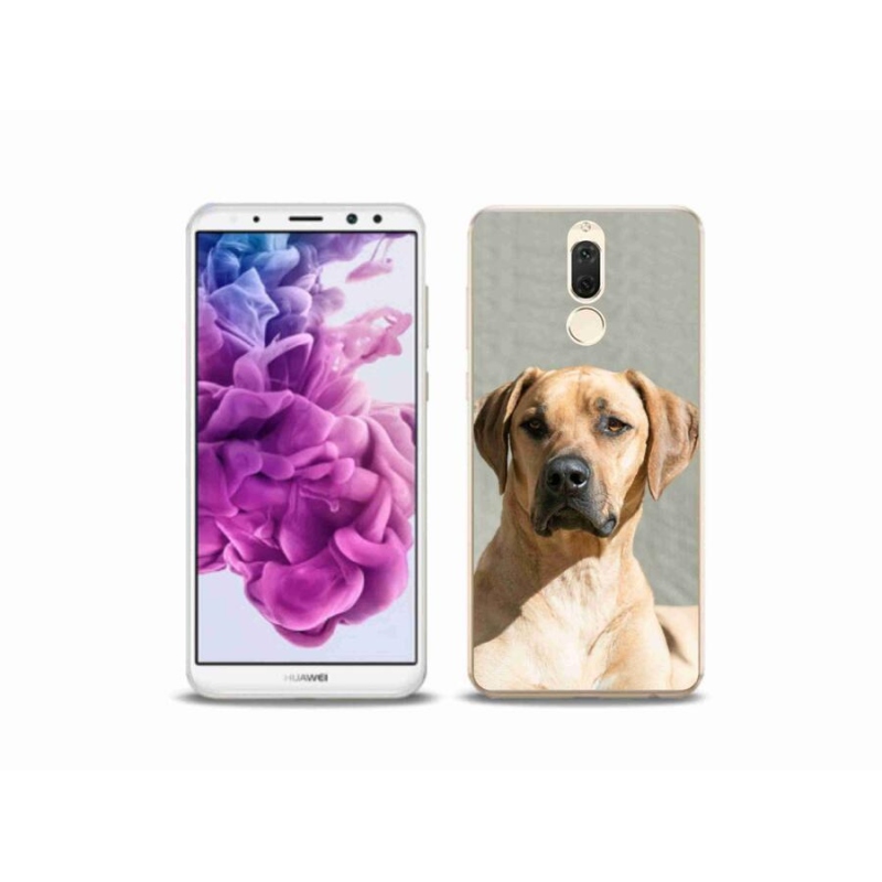 Gélový kryt mmCase na mobil Huawei Mate 10 Lite - ridgeback