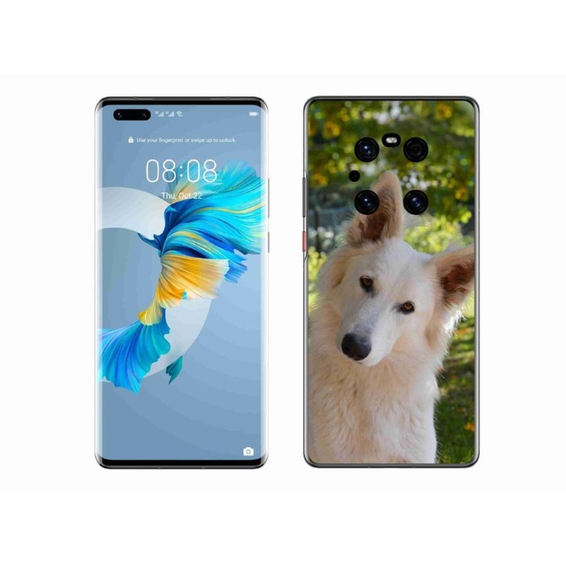 Gélový kryt mmCase na mobil Huawei Mate 40 Pro - biely švajčiarsky ovčiak 1