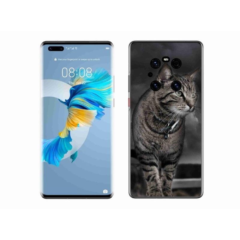 Gélový kryt mmCase na mobil Huawei Mate 40 Pro - mačka