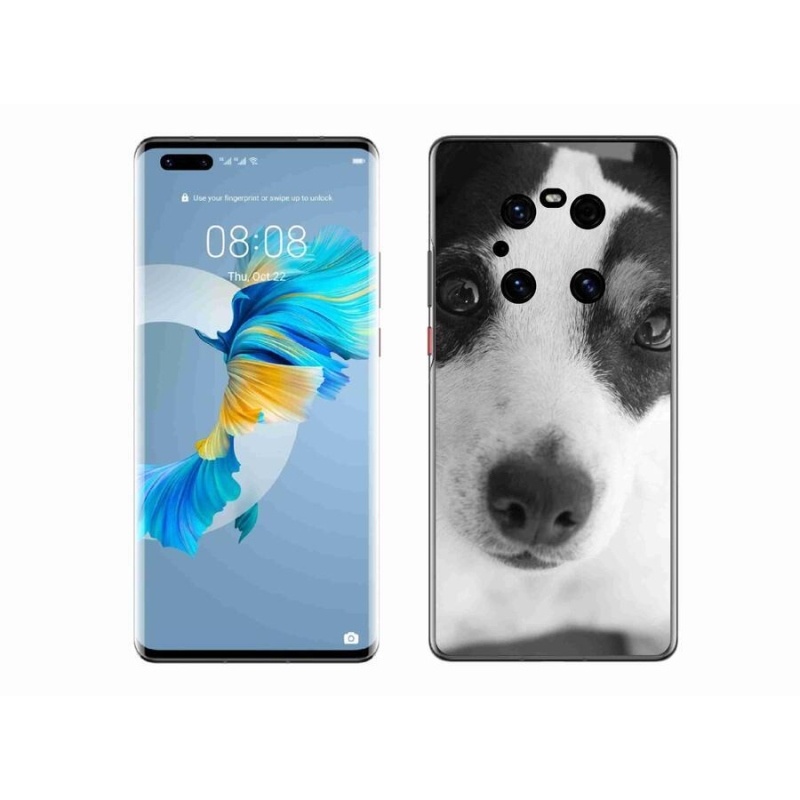 Gélový kryt mmCase na mobil Huawei Mate 40 Pro - pes