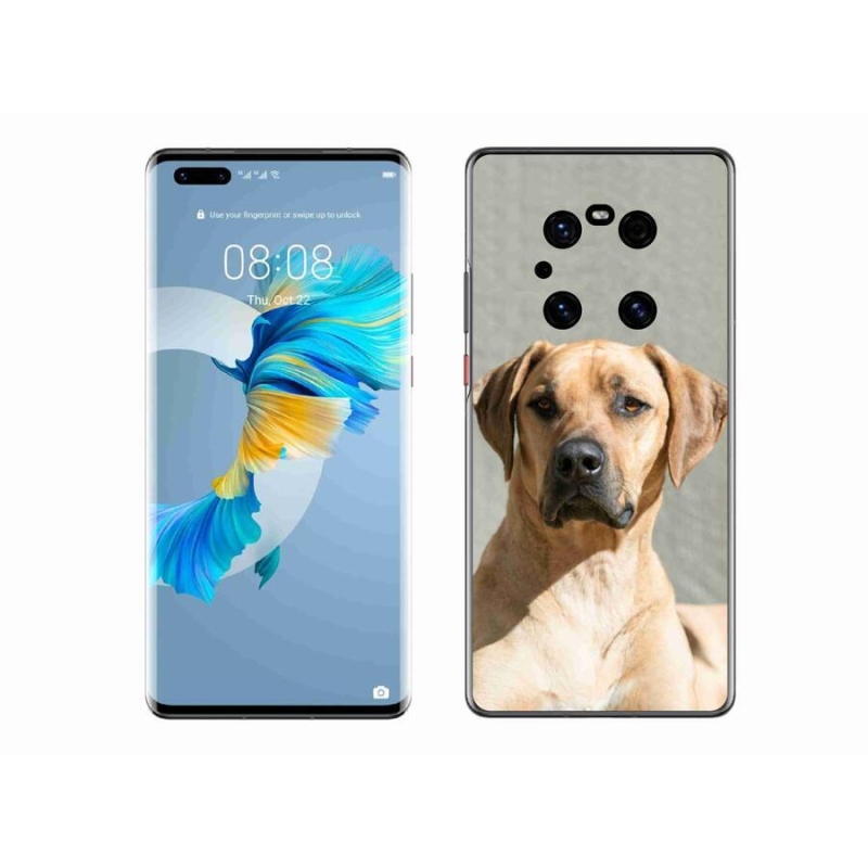 Gélový kryt mmCase na mobil Huawei Mate 40 Pro - ridgeback