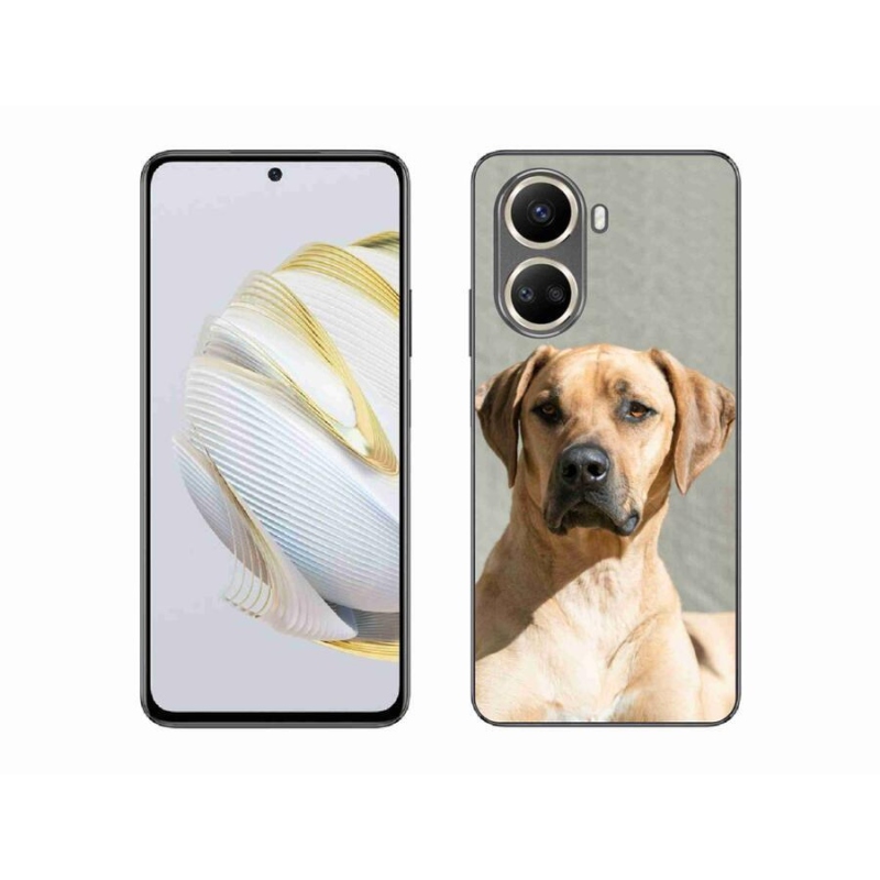 Gélový kryt mmCase na mobil Huawei Nova 10 SE - ridgeback