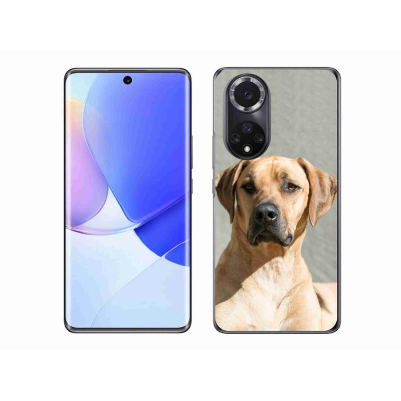 Gélový kryt mmCase na mobil Huawei Nova 9 - ridgeback