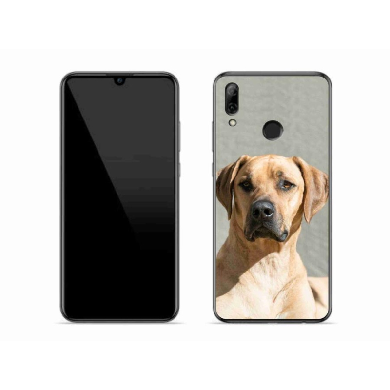 Gélový kryt mmCase na mobil Huawei P Smart (2019) - ridgeback