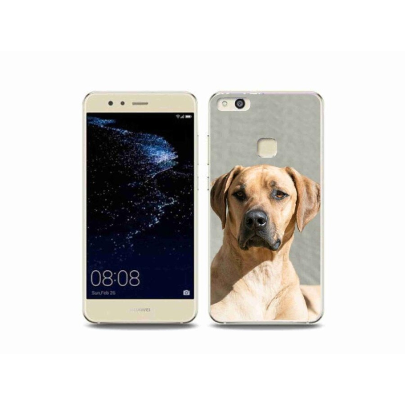 Gélový kryt mmCase na mobil Huawei P10 Lite - ridgeback