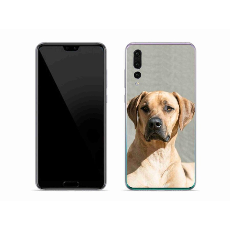 Gélový kryt mmCase na mobil Huawei P20 Pro - ridgeback